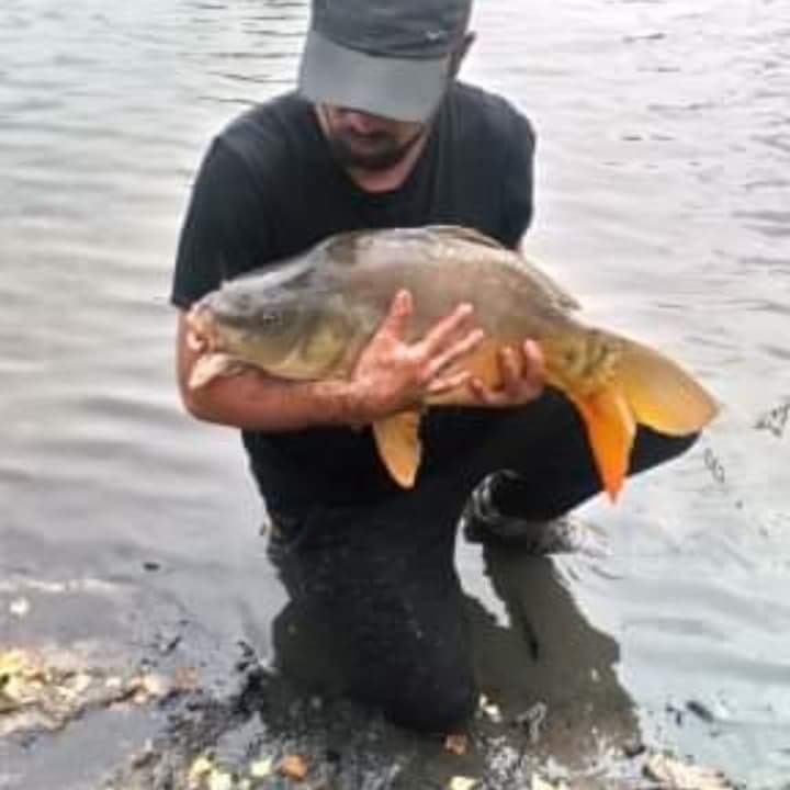 Profilo di Souleiman