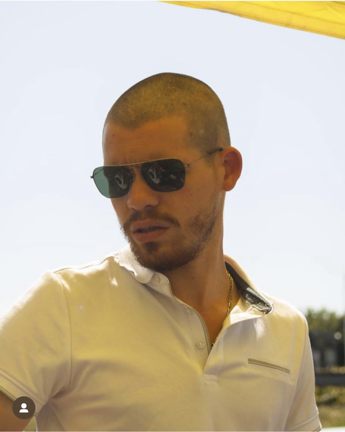 Profilo di Paul-alexis