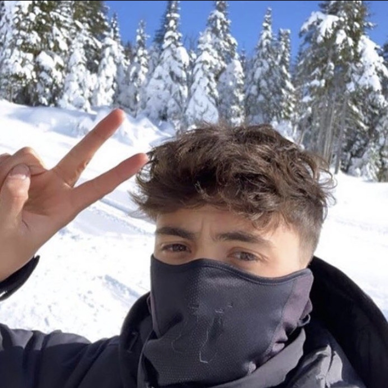 Profilo di Augustave