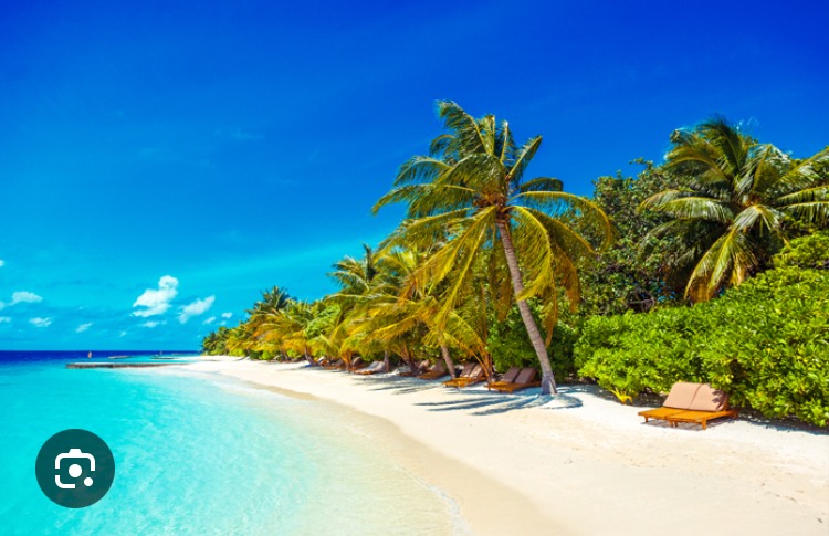 Profilo di Pierre-camille